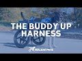 The Buddy Up Harness for Pets with Front &amp; Rear End Weakness