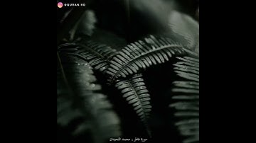 ياأيها الناس أنتم الفقراء إلى الله} تلاوة مؤثرة مبكية للشيخ محمد اللحيدان
