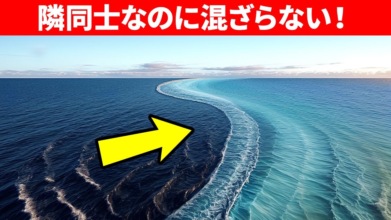 太平洋 と 大西洋 の 境目
