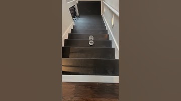 Everyone Loves A Slinky 😮