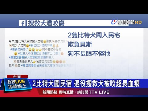 國家退役搜救犬 高雄氣爆.維冠搜救建功