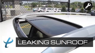 How to Prevent a Leaking Sunroof  Sunroof Repair