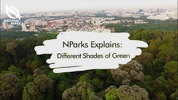 NParks Explains: Different Shades of Green