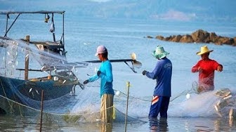 Keprihatinan Youtube