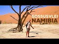 Namibia travel guide the sossusvlei is the sunniest place on earth