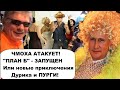 &quot;ПЛАН Б ЗАПУЩЕН&quot; Или новые похождения Пурги и Дурика