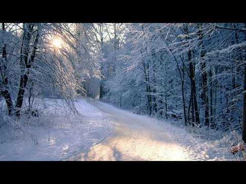 Videó: Ősz Kelet-Európában: Időjárás- és eseménykalauz