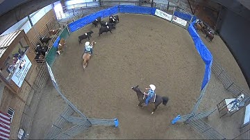 Big Sky Ranch Sorting Saddle Series Finals - #7 HC - Round #2 - Ride #7