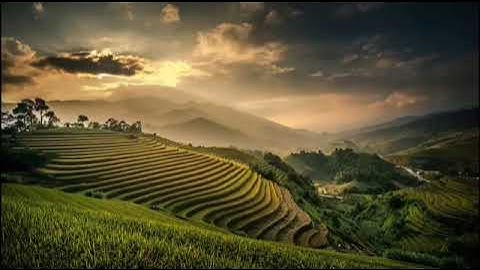 القارئ الشيخ عبدالله غيلان