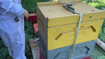 Preparing my Beehive for Spring | Splitting Hive to Prevent Swarming | permaculture Life
