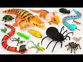 ZURU ROBO ALIVE COLLECTION | UNBOXING Robot Huge Crocodile, New RC Black Spider creeper Compilation