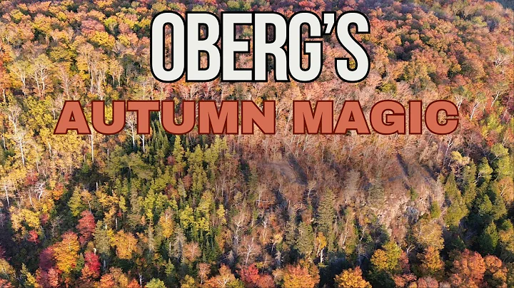 PEAK Fall Colors on Oberg Mountain Hike!