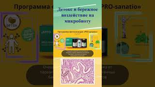 Растения в помощь кишечнику и детоксикации организма/Фитосанация микробиоты природными средствами