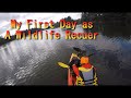 FIrst Day As a Wildlife Rescuer