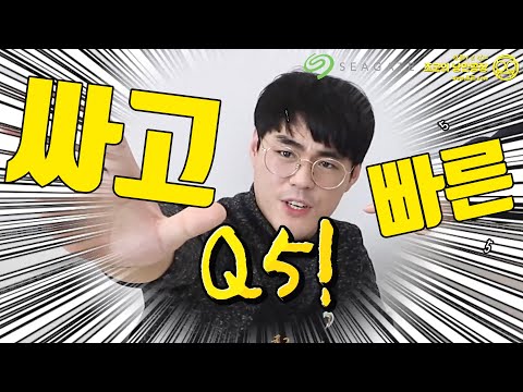 싸고 빠른 <strong>Seagate</strong> 바라쿠다 Q5 M.2 SSD