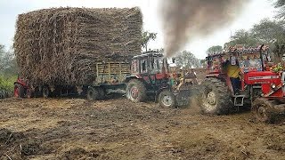 Massi 385 & 520 Tractor Sugarcane Load Trolley Fail In Mud | tractor fail & stuck in the mud