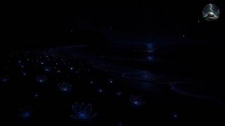 99% Fall Asleep in 3 Minutes (NO ADS) • Brain Relaxation Sleep Therapy • Total Body Rejuvenation