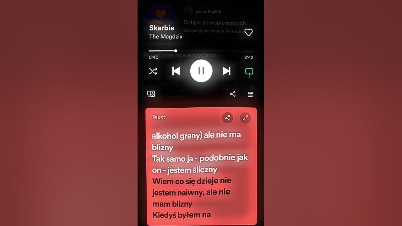 The Magdzix - Skarbie #spotify #speed #song The Magdzix - Skarbie #spotify #speed #song