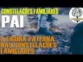 Pai  - o papel da figura paterna - O pai nas constelações sistêmicas e familiares