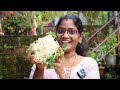        cauliflower kondattom  easy recipe