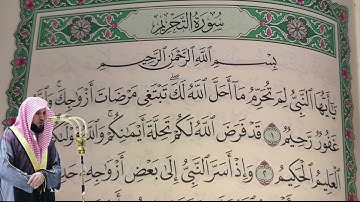 ماهر المعيقلي - سورة التحريم (66) بجودة عالية - Maher Al-Muaiqly - Surah At-Tahrim [66]