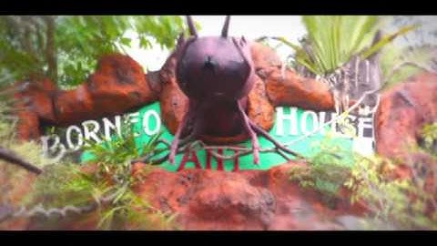 AT BORNEO ANT HOUSE - Cinematic Inspirational Parallax Opener / Slideshow ( After Effects Project)
