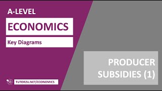 Key Diagrams - Producer Subsidies (Supply and Demand Analysis)