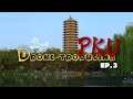 PKU Others(2) PKU Others(2)