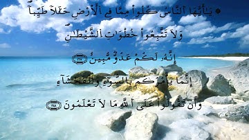 سورة البقرة * الدوكالي * قالون