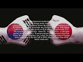 Basar Global Value Insight Capital Flow 022019mp4
