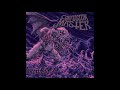 CONFUSION MASTER - Haunted [FULL ALBUM] 2021