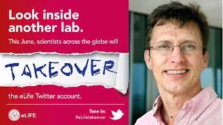 Weigel Lab Elife Twitter Takeover