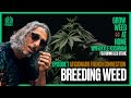 Journey into cannabis breeding humboldt south america  europe with leo stone  kyle kushman