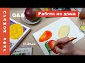 Q&A25. Про работу из дома, отвлечения, акварельный шопоголизм, и принтшопы