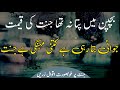 Jannat aqwal e zareen  islamic jannat urdu aqwal  jannat k pattay quotes in urdu  jannat quotes