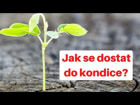 Video: Jak Se Dostat Do Kondice