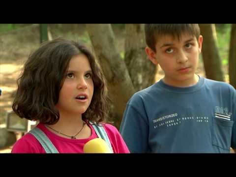 Top Kids-ელმა ბავშვებმა მთაწმინდის პარკში სპორტული მარათონი გამართეს