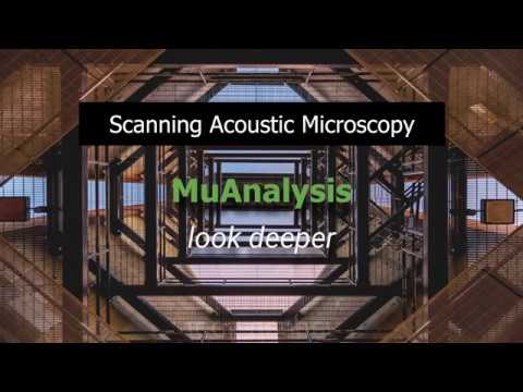 MuAnalysis Scanning Acoustic Microscopy