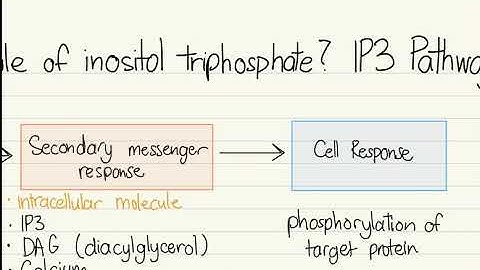 What is the role of inositol triphosphate?