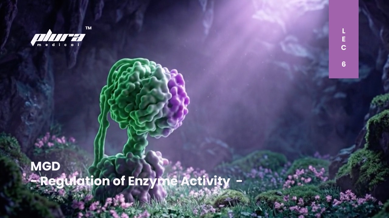 MGD - lec 6 - Regulation of Enzyme Activity