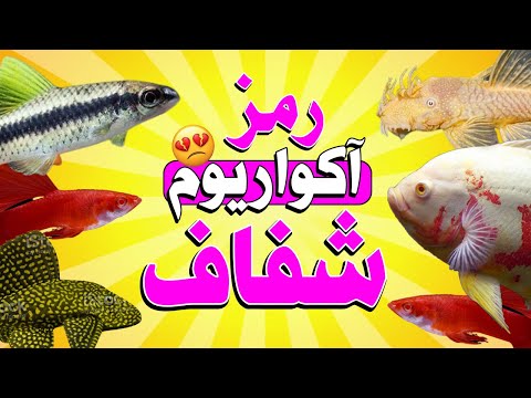 تصویری: نحوه مراقبت از تخم مرغ مارمولک: 11 مرحله (همراه با تصاویر)