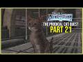 Trails Beyond The Horizon Part 21 The Prodigal Cat Quest