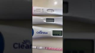 Live Pregnancy Test at 10DPO, Digital Pregnancy Test at 10DPO, 10DPO Pregnancy Test screenshot 4