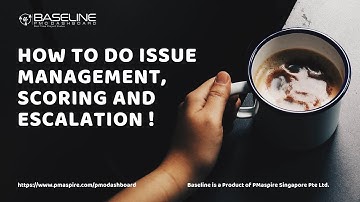 Issue Management, Scoring and Escalation Process in Baseline PMO Software