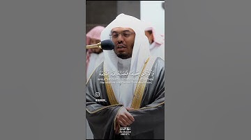 سورة الزمر تلاوة القارئ ياسر الدوسري #تلاوة_خاشعة #ياسر_الدوسري #تلاوة_خاشعة #قرآن #quran #قرآن_كريم