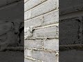 brick grout application techniques #shorts