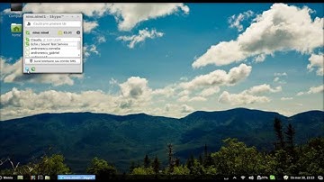 Skype in Linux mint 14