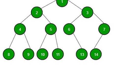 Binary tree ภาษาPython