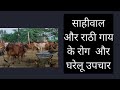 Rathi and Sahiwal Cows Diseases and desi treatments-राठी और साहीवाल गायों की बीमारियां और देशी उपचार