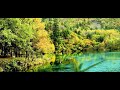 Relax River Sounds - Peaceful Forest River - 3 Hours Long